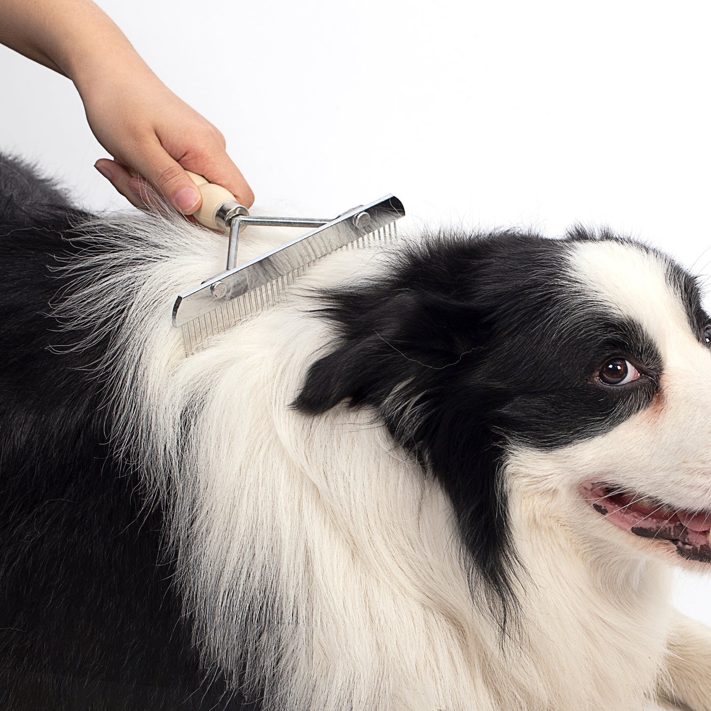 Undercoat Rake for Dogs, Grooming Brush Set Long Tooth Undercoat Dog Rake+Flea Comb,Deshedding Tool Beauty Steel Comb for Golden Retriever Husky German Shepherd Longhair Cat