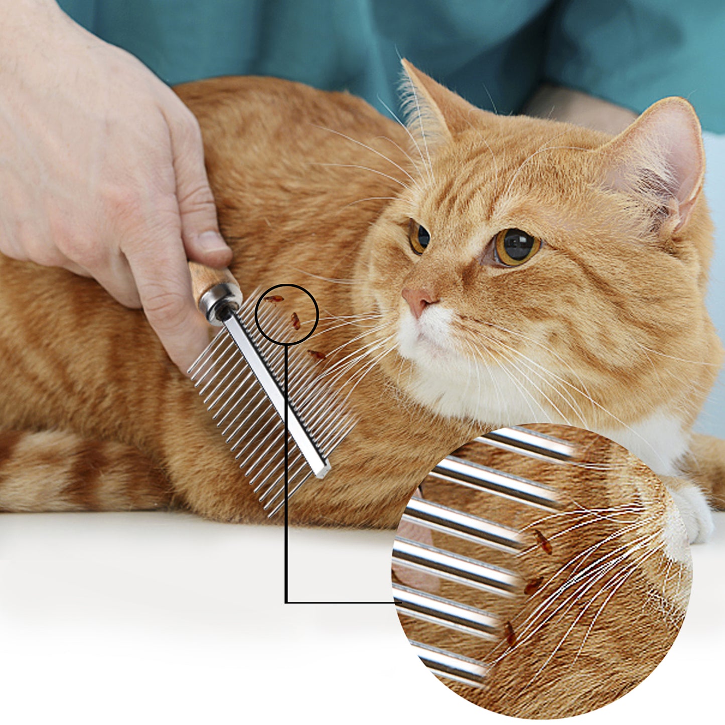 Undercoat Rake for Dogs, Grooming Brush Set Long Tooth Undercoat Dog Rake+Flea Comb,Deshedding Tool Beauty Steel Comb for Golden Retriever Husky German Shepherd Longhair Cat